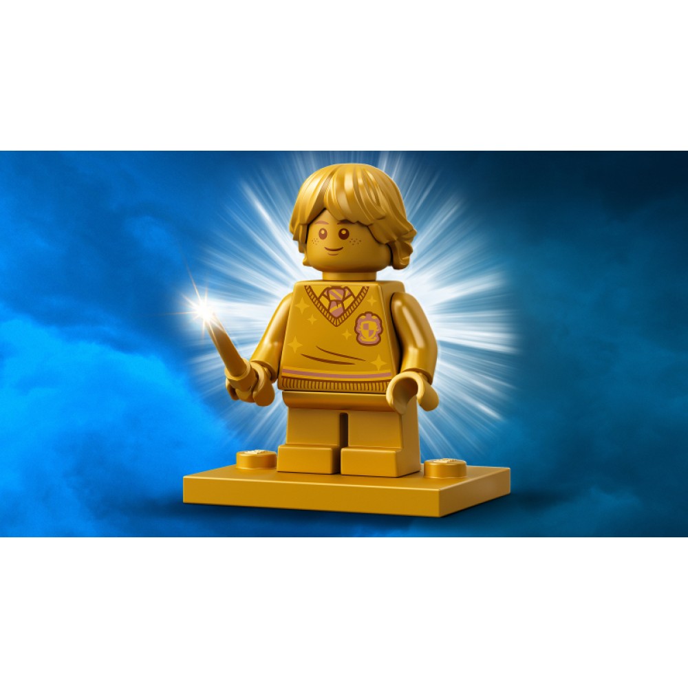  LEGO® Harry Potter™ Vizitas Kiauliasodžio™ kaime 76388