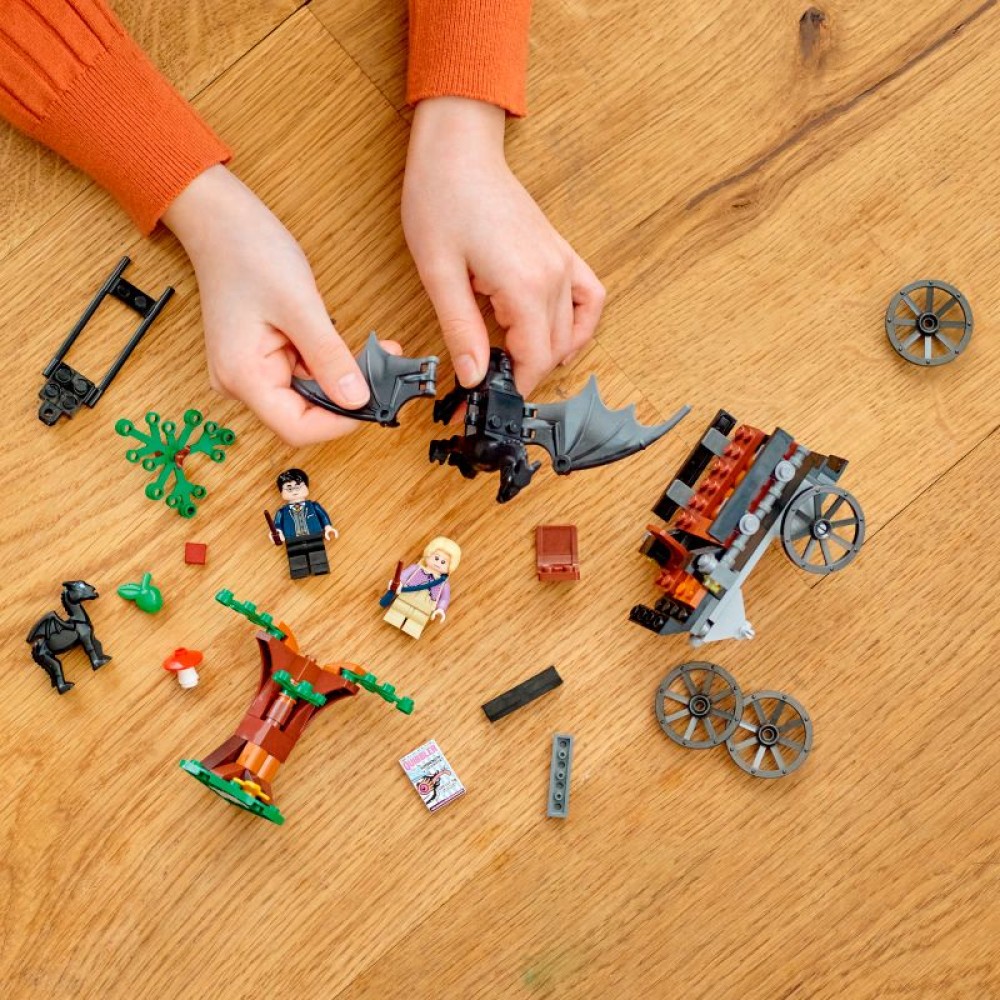 LEGO® Harry Potter™ Hogvartso™ karieta su testraliais 76400