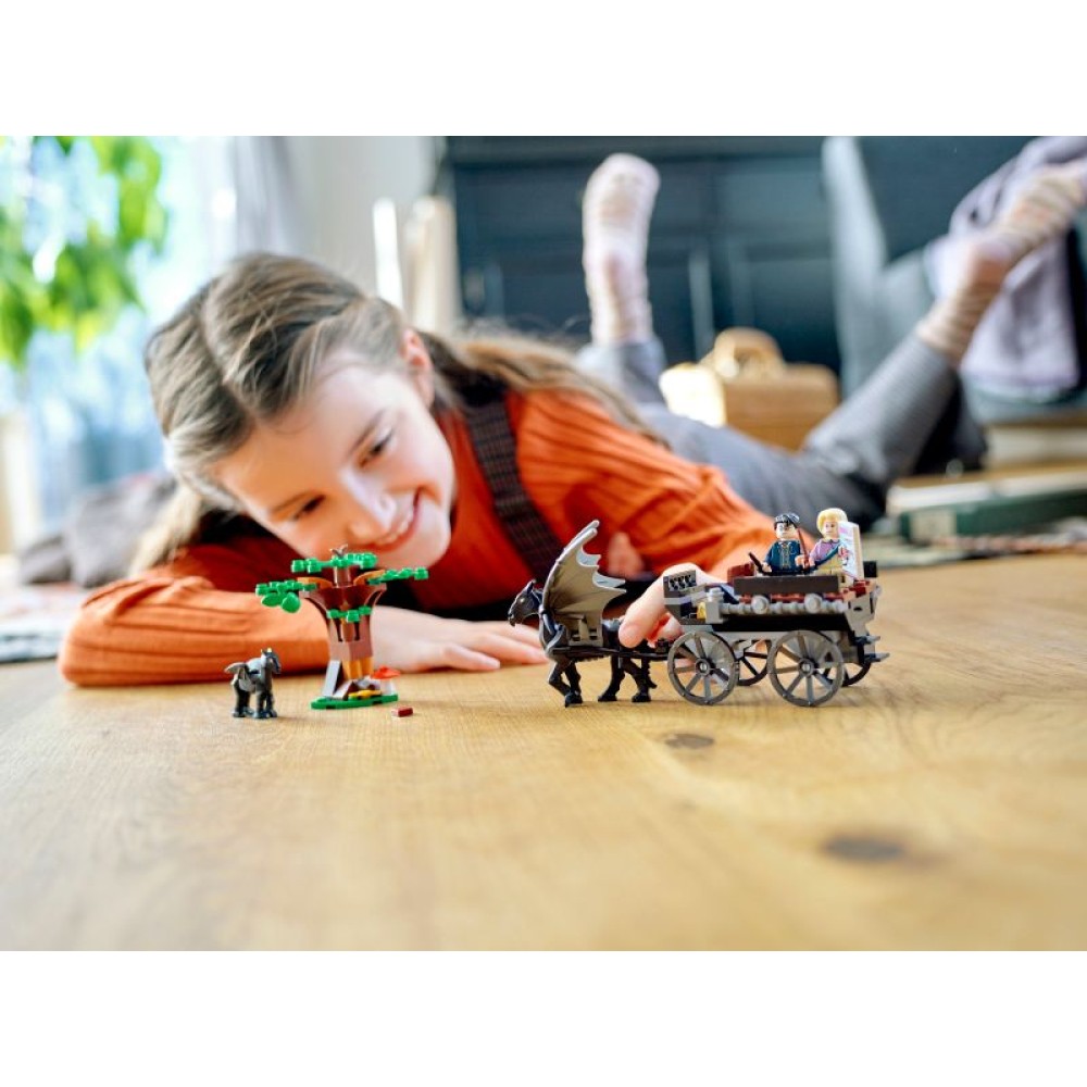 LEGO® Harry Potter™ Hogvartso™ karieta su testraliais 76400