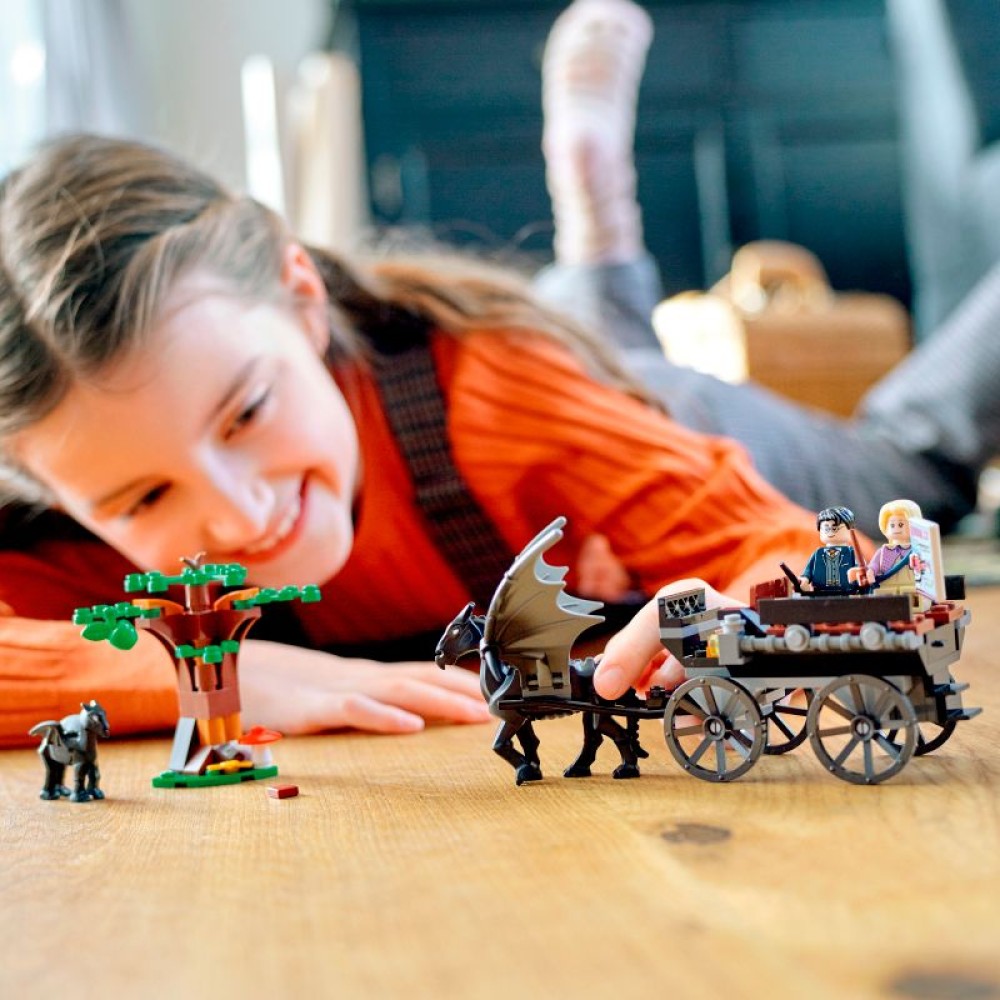 LEGO® Harry Potter™ Hogvartso™ karieta su testraliais 76400