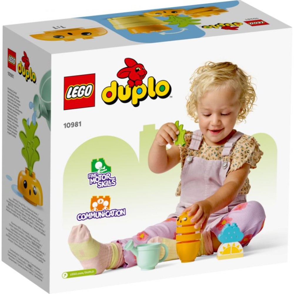 Mano pirmoji morka LEGO® DUPLO® 10981