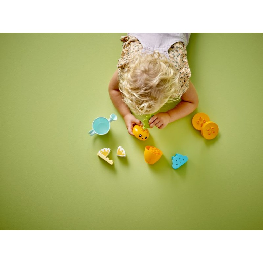 Mano pirmoji morka LEGO® DUPLO® 10981