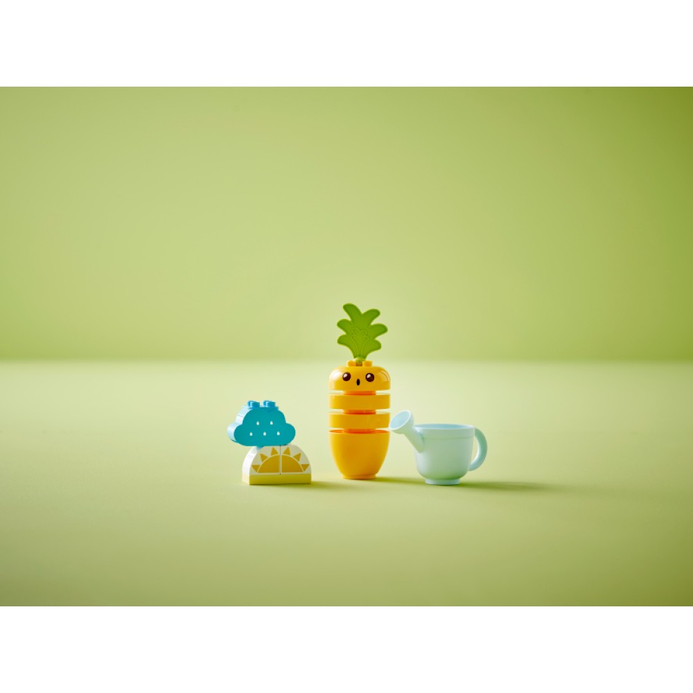 Mano pirmoji morka LEGO® DUPLO® 10981