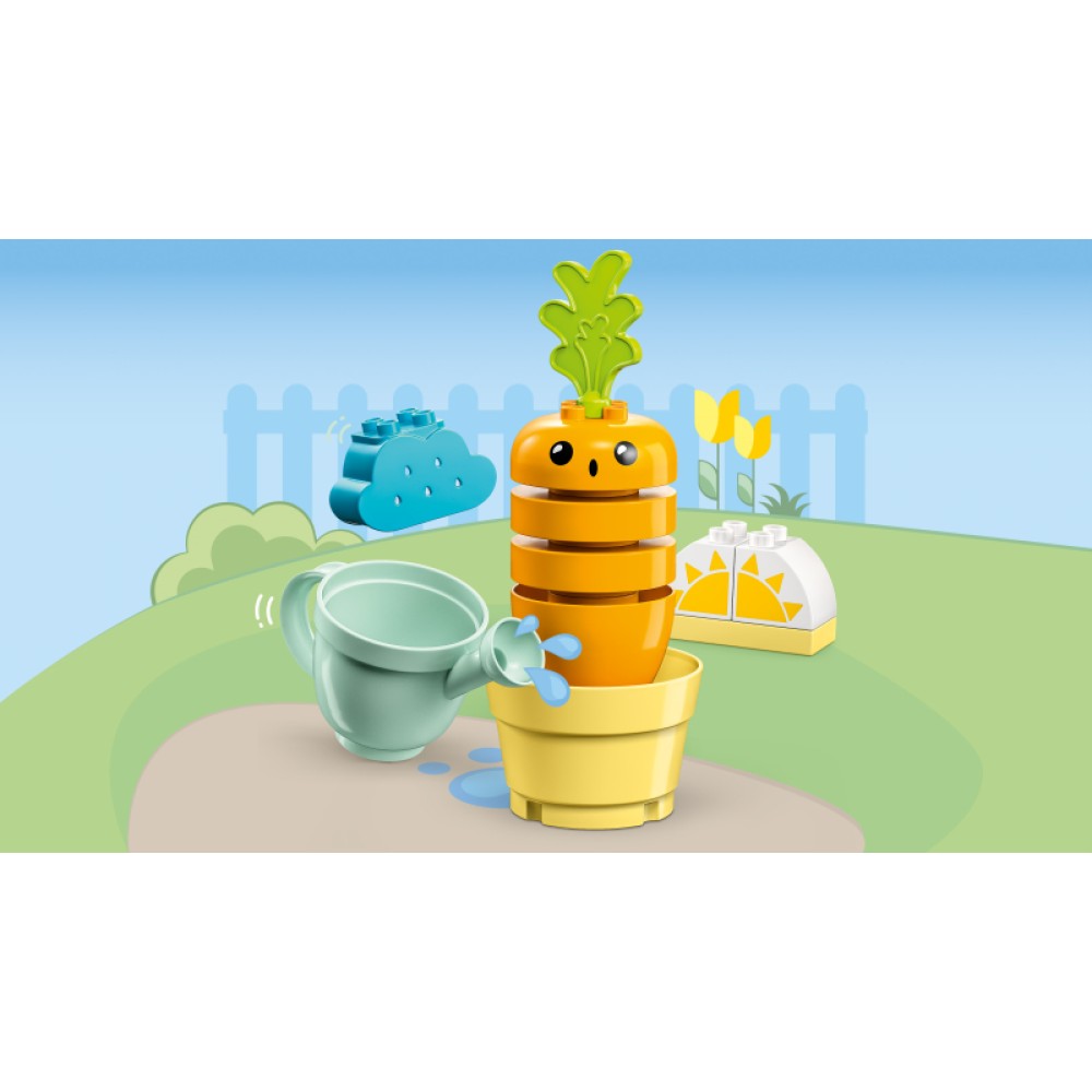 Mano pirmoji morka LEGO® DUPLO® 10981