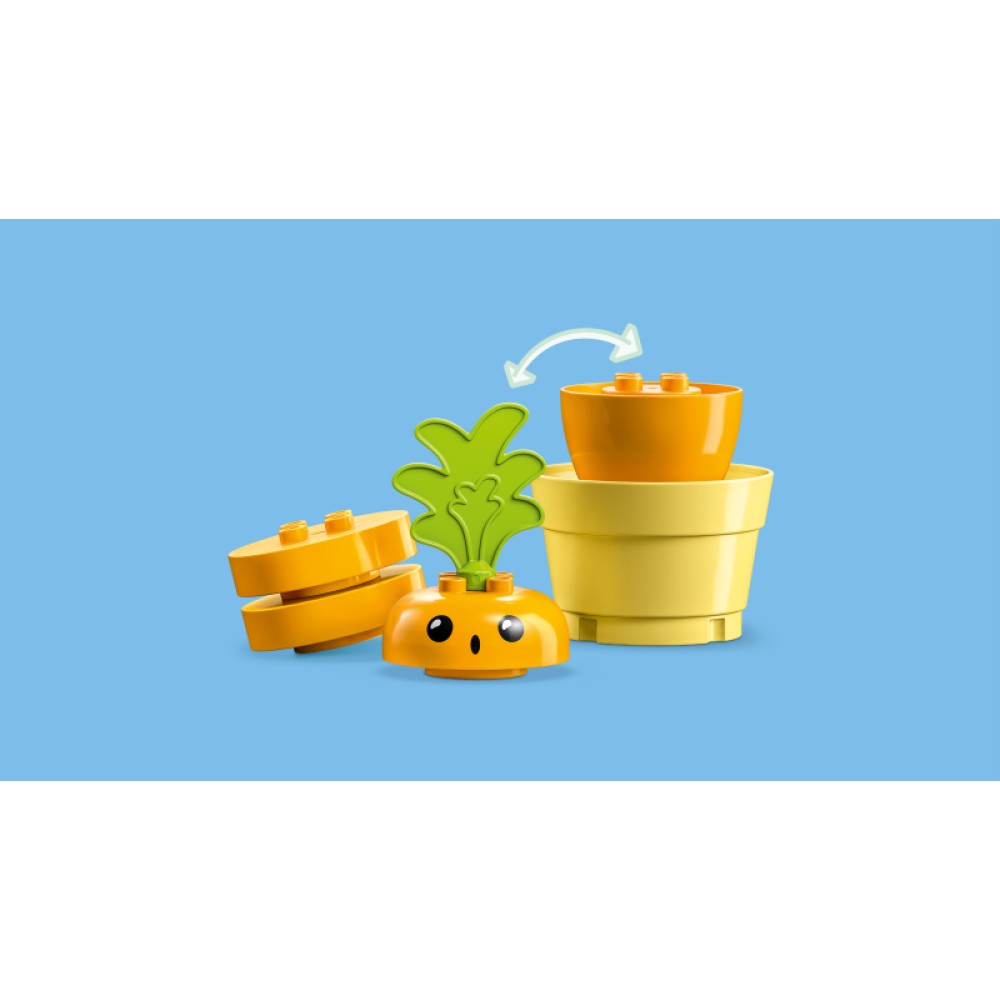Mano pirmoji morka LEGO® DUPLO® 10981