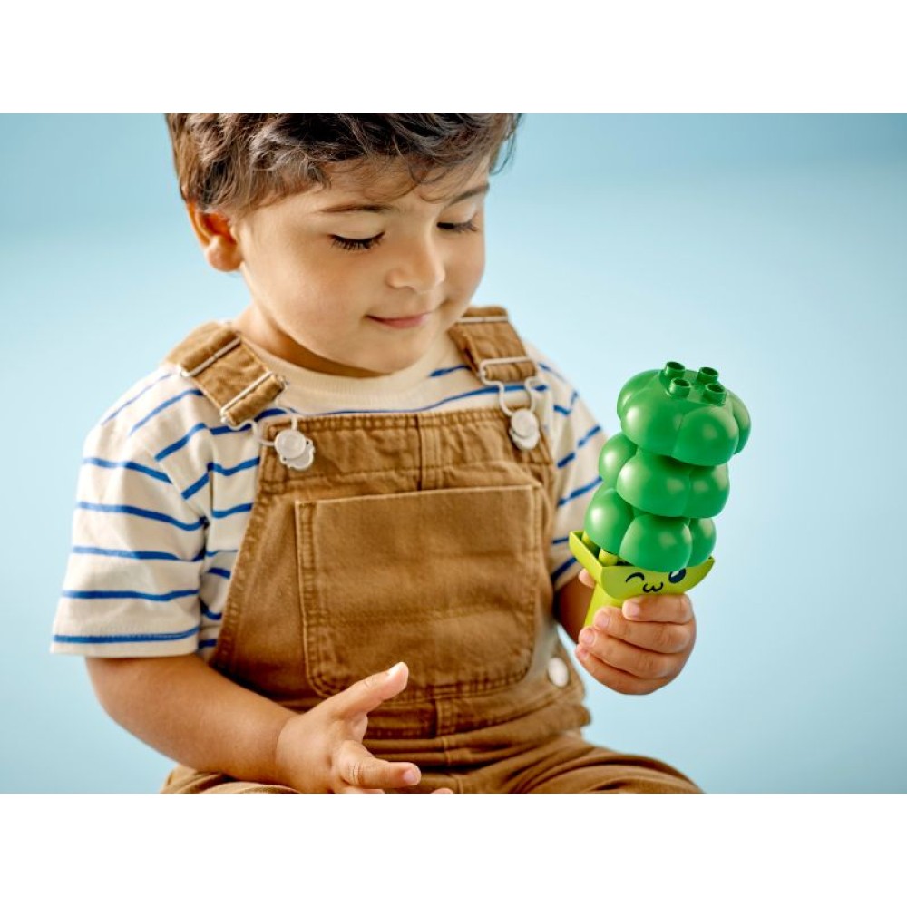 Mano pirmasis vaisių ir daržovių traktorius LEGO® DUPLO® 10982